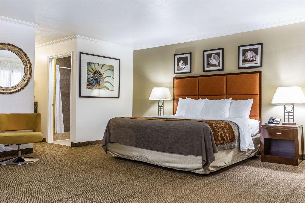 Comfort Inn Santa Cruz image 1