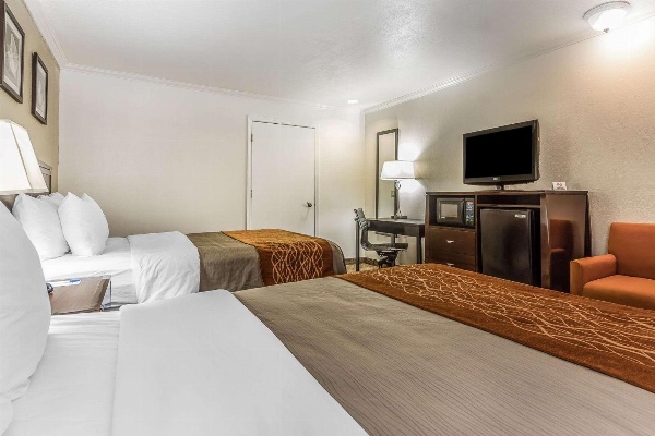Comfort Inn Santa Cruz image 4